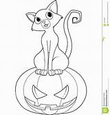 Halloween Coloring Cat Pages Pumpkin Printable Color Cute Print Cartoon Kitten Sitting Getcolorings Happy Spooky Clipart Preview sketch template