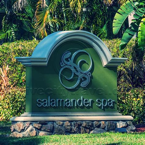 salamander spa innisbrook resort  golf club palm harbor florida
