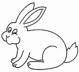 Rabbit Coloring Color Pages Animals Sheet Printable Kids Animal Template Print Burrow Colouring Back Puma Town Clipart sketch template
