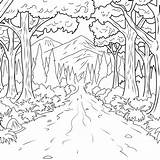 Forest Coloring Enchanted Pages Drawing Deer Book Printable Adult Rainforest Nature Getdrawings sketch template