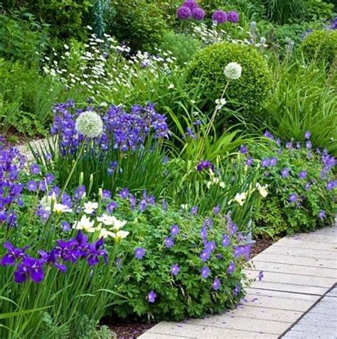 border met witte en paarse planten border tuin planten wit paars garden landscaping