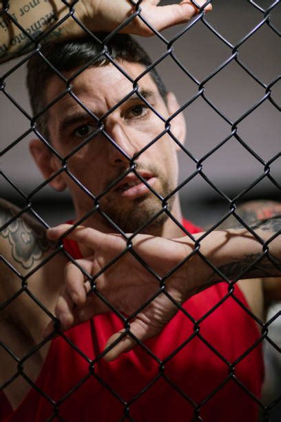 cage fighting stock  pictures royalty  images istock