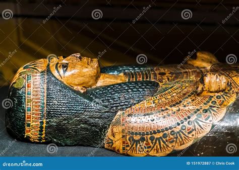ancient sarcophagus  display   beautiful green  gold