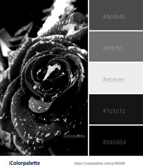 color palette ideas icolorpalette colors inspiration graphics