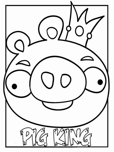 angry birds coloring book fresh angry birds coloring pages  kids