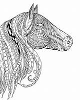 Pages Detailed Zentangle Getdrawings Paardenhoofd Schattige Duizenden Krijg Voorbeeld Paard Meisje sketch template