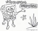 Esponja Plankton Spongebob Imprimir Ordenador Coloringhome sketch template