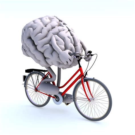 Need Some Brainpower Get On Your Bike Exercise Boosts Creative