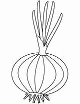 Onion Coloring Pages Printable Colouring Drawing Onions Kids Red Categories Popular sketch template