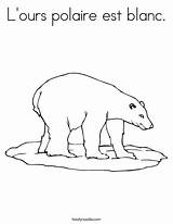 Polar Worksheet Bear Coloring Blanc Polaire Est Ours Pp Cursive Favorites Login Add Lours Twistynoodle Noodle sketch template