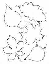 Herfstbladeren Badschuim sketch template