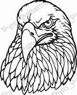 Burning Wood Patterns Pyrography Eagle Printable Stencils Templates Pattern Bird Head Stencil Carving Woodburning Designs Birds Drawing Traceable Leather Downloadable sketch template