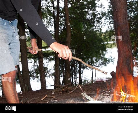 cooking  campfire stock photo alamy