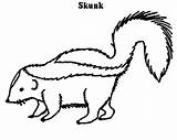 Skunk Preschool sketch template
