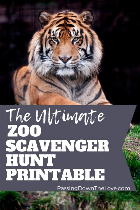 fun zoo scavenger hunt printable kids  love