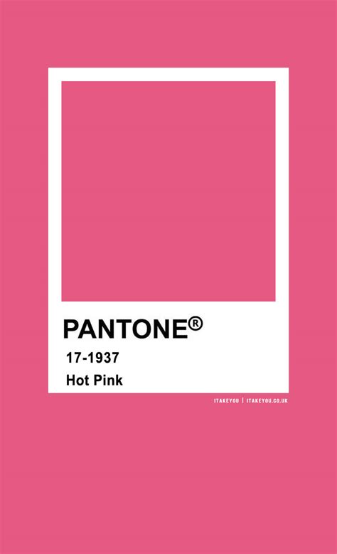 pantone color pantone hot pink    wedding readings wedding ideas wedding dresses