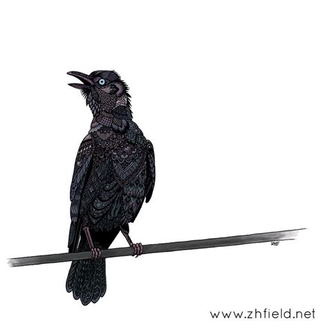 raven inspired  ancient celtic art part    series inspired   art  mythology