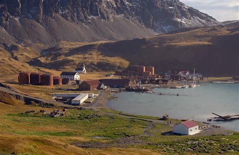 grytviken south georgia