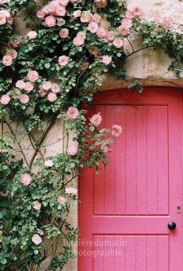 la puerta rosa pink door climbing roses pink garden