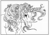 Unicorn Coloring Pages Adult Unicorns Girls Flowers Printable Frank Lisa Digital Etsy Easy Template Fantasy Animal Family Garden Source Visit sketch template