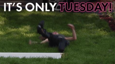 tuesday gif itsonlytuesday discover share gifs