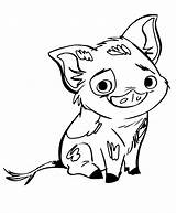 Pua Coloring Pig Cute Coloringonly Pages Printable sketch template
