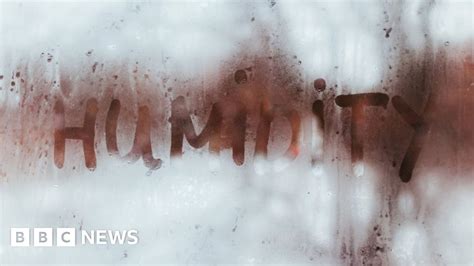 people    feel pain  humid days bbc news