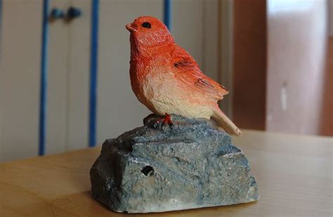rare plastic bird anthony flickr