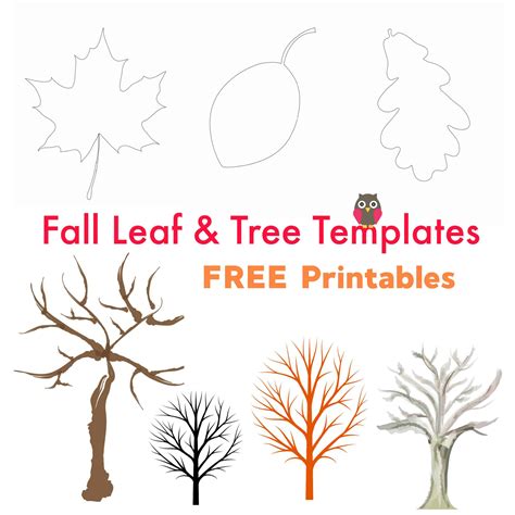 printable fall leaf  tree templates emma owl
