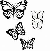 Outlines Butterflies Flying Proportions sketch template