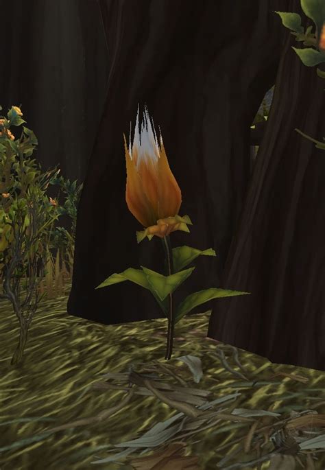 Foxflower Item World Of Warcraft