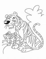 Tiger Coloring Cub Baby Mother Pages Drawing Kids Printable Popular Getdrawings Her Coloringhome sketch template