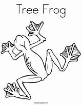 Frog Coloring Tree Frogs Print Pages Color Template Hibernate Printable Outline Twistynoodle Ll Cursive Getcolorings Bullfrog Noodle Change Favorites Login sketch template