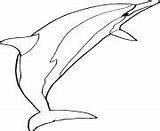 Dolphin Coloring Spinner sketch template