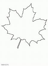 Coloring Pages Print Leaves Library Clipart Nar Boyama Sayfalar Leaf sketch template