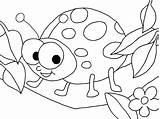 Bug Coloring Pages Cute Lady Getcolorings Sh sketch template