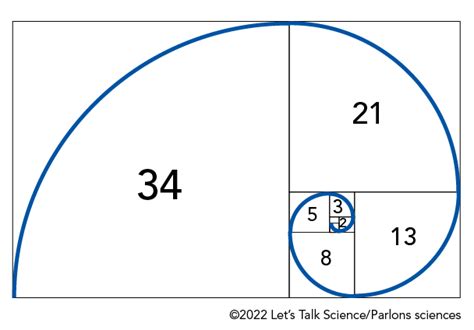 Fibonacci And Golden Ratio Let S Talk Science