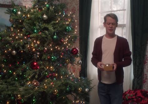 Macaulay Culkin Recreates Iconic Home Alone Scenes After Nearly 30