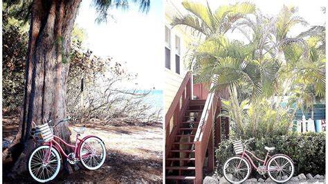 bike rental anna maria island bikes choices