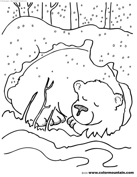 hibernating animals coloring pages photo  timeless miraclecom
