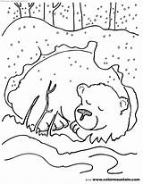 Hibernating Coloring Animals Pages Timeless Miracle sketch template
