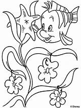 Flounder Coloring Pages Printable Color sketch template