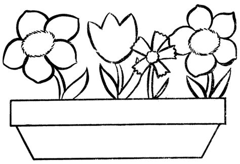 flower pot coloring page clipart    clip art resource