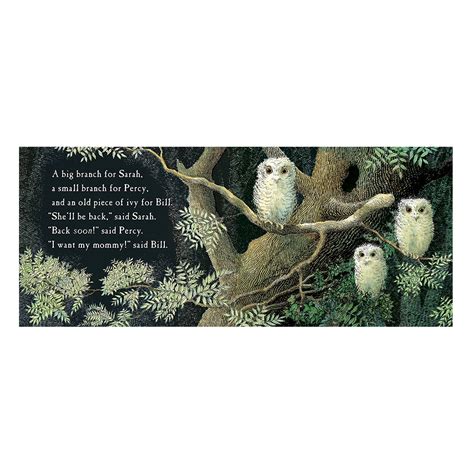 owl babies book happy  tadpole