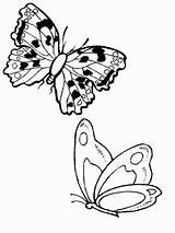 Kolorowanki Colorir Motyle Borboletas Papillon Borboleta Coloriage Mariposa Dessin Motylami Owady Motylki Imagensdecoupage Motylkami Malowanki Coloriages Ugu Qdb Zwierzęta sketch template