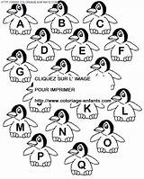 Alphabet Coloring Penguins Pages Book Pingouins sketch template