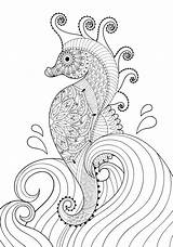 Seahorse Zeepaardje Pagina Marino Cavalluccio Golven Artistiek Getrokken Volwassen Kleurende Adulta Disegnato Coloritura Artistico Mano Zentangle Mexican Doodle Verbnow sketch template