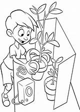 Coloring Growing Plants House Kids sketch template
