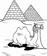 Coloring Pyramids Camel Drawings Front sketch template