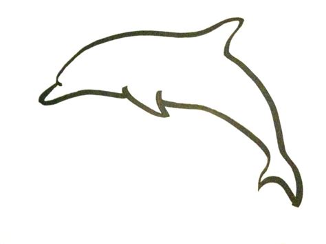 dolphin  drawing    clipartmag